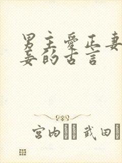 男主爱正妻却纳妾的古言封面