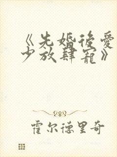 《先婚后爱:沈少放肆宠》小说