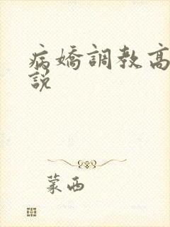 病娇调教高h小说封面