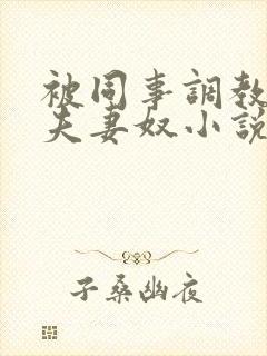 被同事调教成了夫妻奴小说