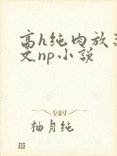 高h纯肉放荡h文np小说封面