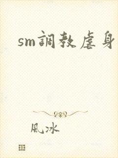 sm调教虐身文封面