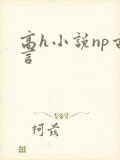 高h小说np古言封面
