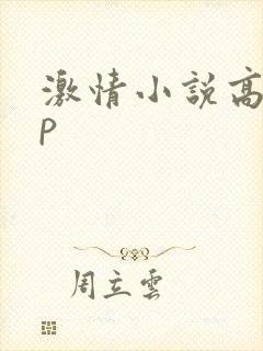激情小说高hnp