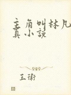 主角叫林凡的修真小说