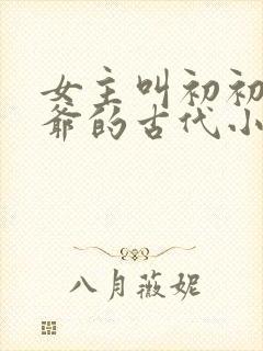 女主叫初初和王爷的古代小说
