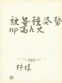 被各种姿势玩弄np高h文