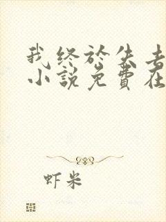 我终于失去了你小说免费在线阅读