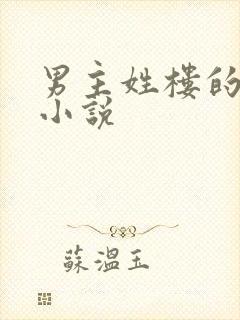 男主姓楼的总裁小说