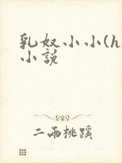 乳奴小小(h)小说