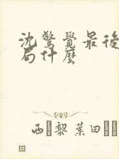 沈惊觉最后大结局什么封面