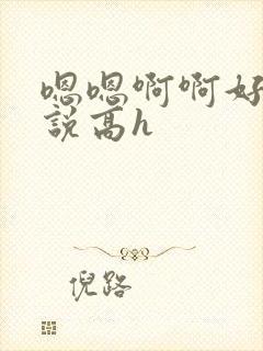 嗯嗯啊啊好爽小说高h