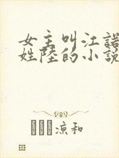 女主叫江诺男主姓陆的小说封面