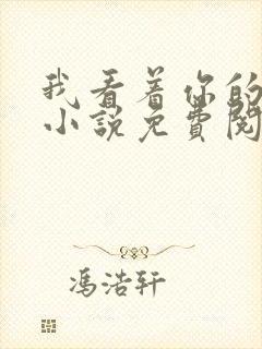 我看着你的时候小说免费阅读