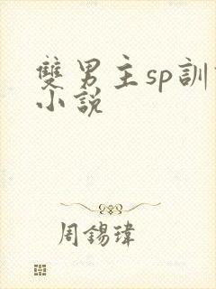 双男主sp训诫小说