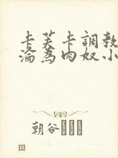 卡芙卡调教喷水沦为肉奴小说