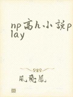 np高h小说play