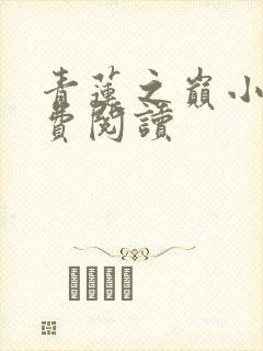 青莲之巅小说免费阅读