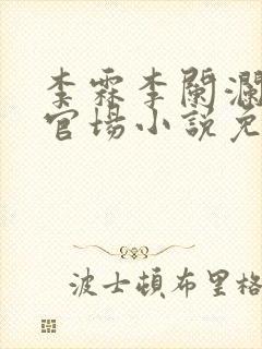 李霖李阑澜巅峰官场小说免费阅读