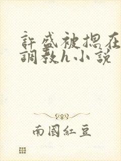 许盛被摁在床下调教h小说