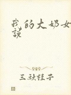 我的大奶女友小说