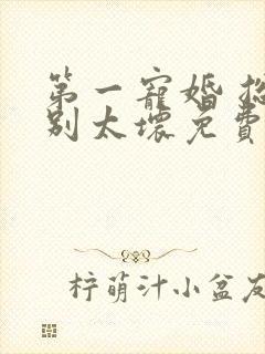 第一宠婚 总裁别太坏免费阅读封面