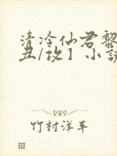 清冷仙君黎锦【丑/攻】小说