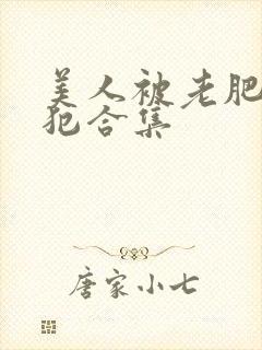 美人被老肥丑侵犯合集封面