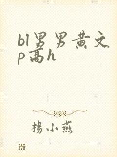 bl男男黄文多p高h