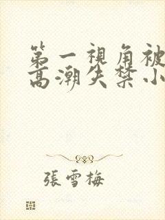 第一视角被调教高潮失禁小说封面