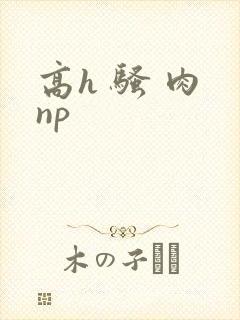 高h 骚 肉 np