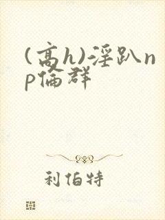 (高h)淫趴np伦群