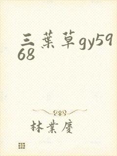 三叶草gy5968封面