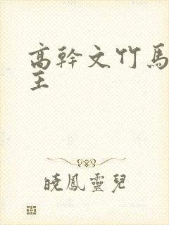 高干文竹马双男主封面