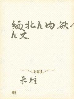 缅北h肉欲全黄h文