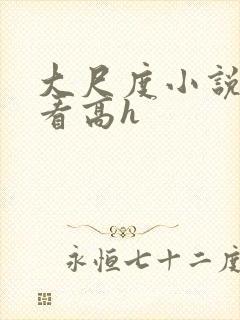 大尺度小说免费看高h