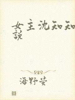 女主沈知知的小说