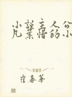 小说主人公叫林凡叶惜的小说