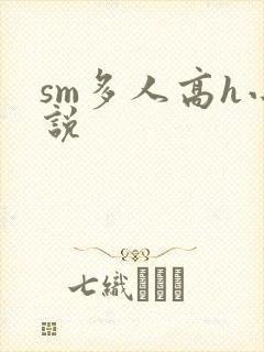 sm多人高h小说