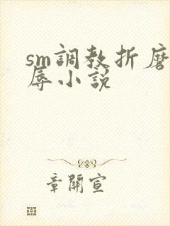 sm调教折磨羞辱小说