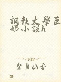 调教大学巨乳骚奶小说h