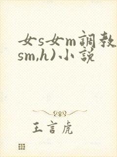 女s女m调教(sm,h)小说