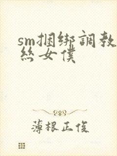 sm捆绑调教白丝女仆封面