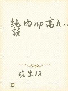 纯肉np高h小说