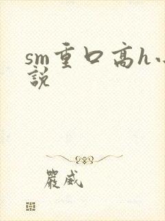 sm重口高h小说封面