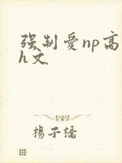 强制爱np高辣h文