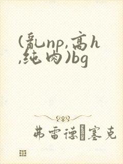(乱np,高h,纯肉)bg