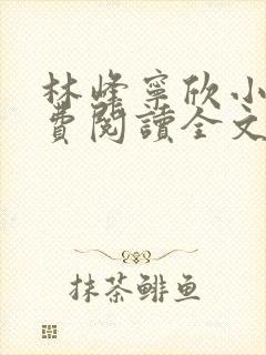 林峰宁欣小说免费阅读全文下载