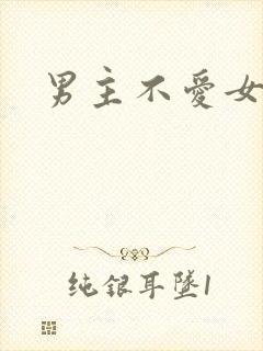 男主不爱女主