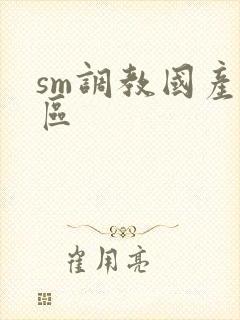 sm调教国产一区